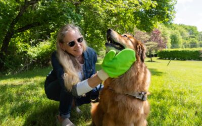 Worrying about ticks is a thing of the past with Rock Gear Distribution’s newest product, TiCK MiTT